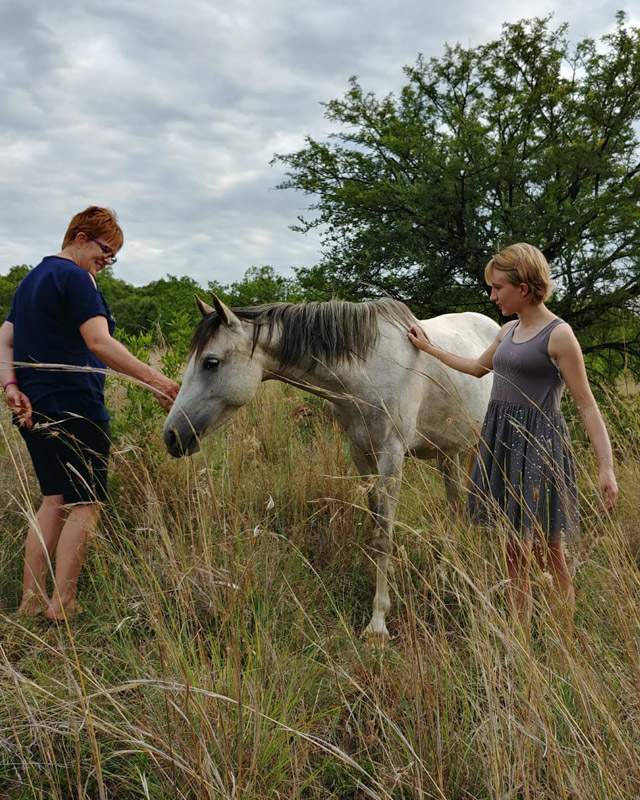 equine-therapy-13