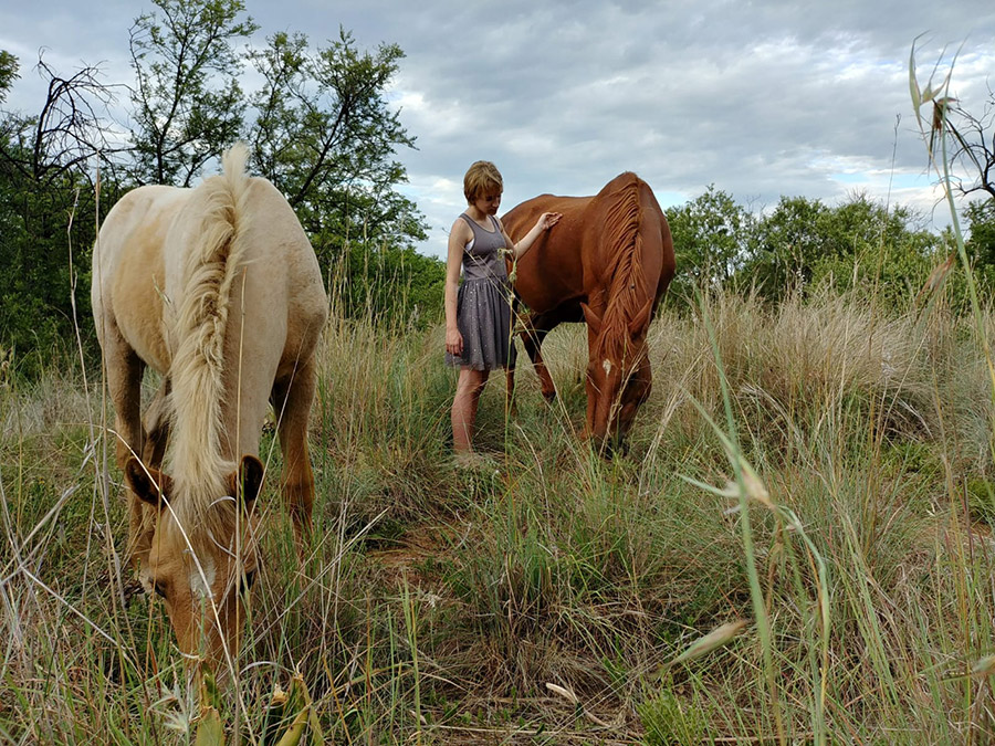 equine facilitated therapy