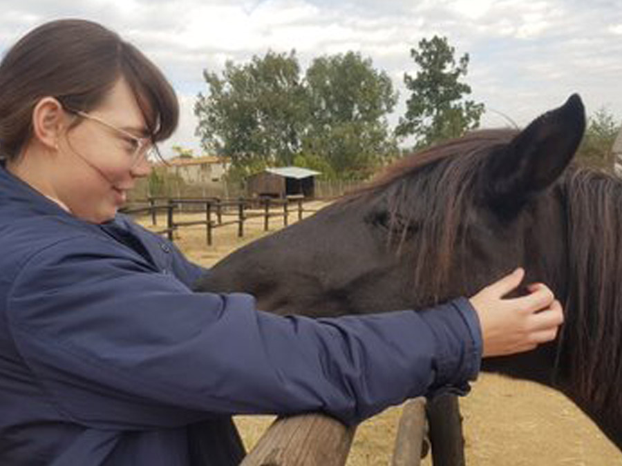 equine facilitated therapy
